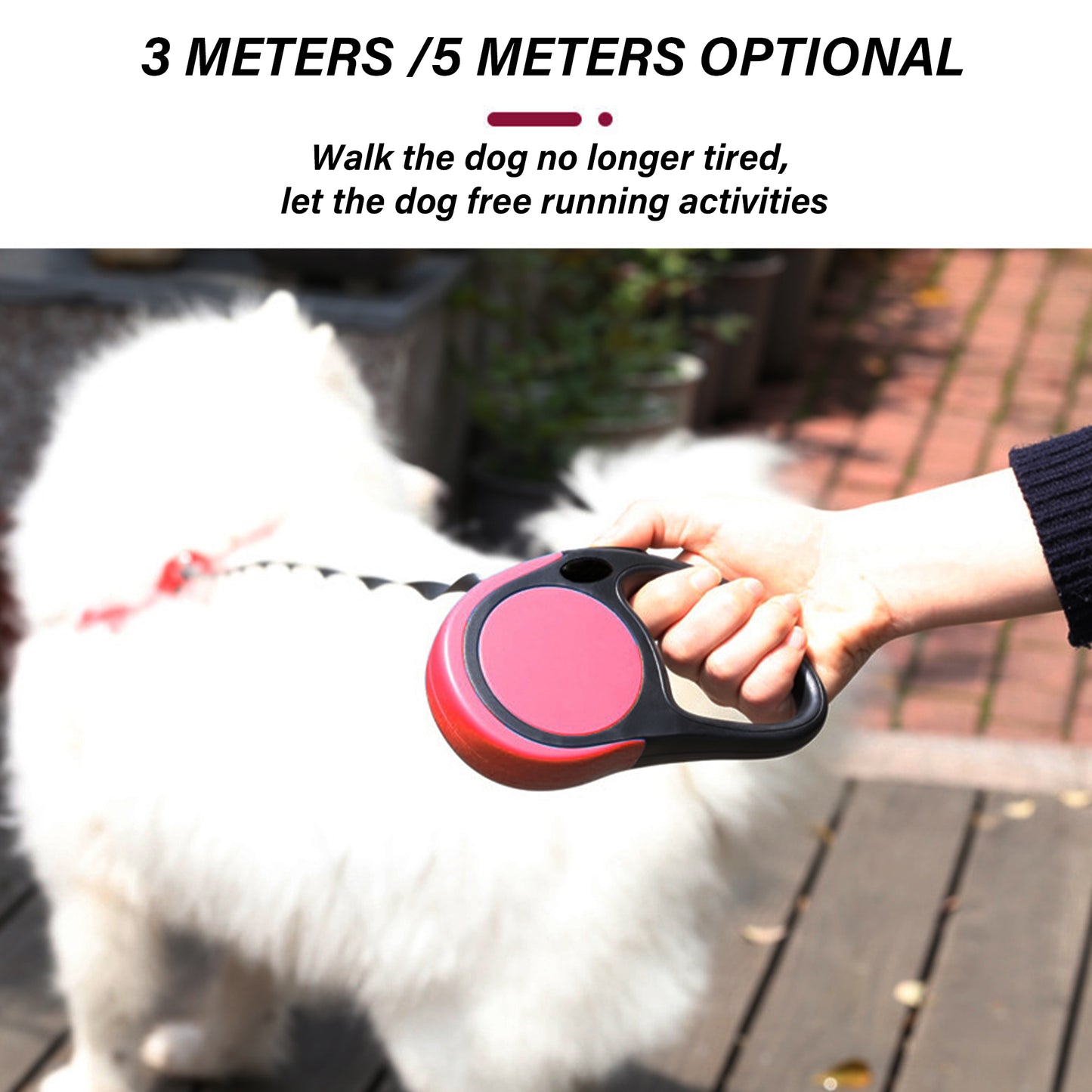 Retractable Dog Leash Pet Walking Leash for Dogs, Cats, Pets | 360° Tangle Free | One-Hand Brake | Strong Nylon Tape/Ribbon